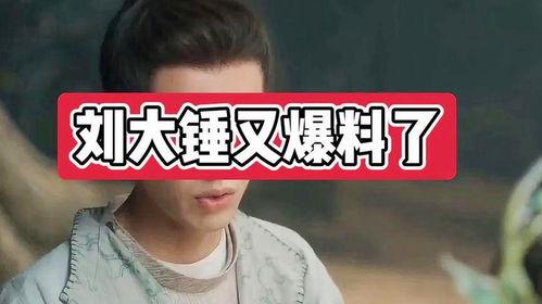 刘大锤最新爆料包贝尔,真相究竟如何？  第3张