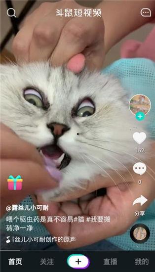 最新老鼠爆料视频下载安装,最新老鼠爆料视频下载安装全过程解析 第2张 最新老鼠爆料视频下载安装,最新老鼠爆料视频下载安装全过程解析 第2张